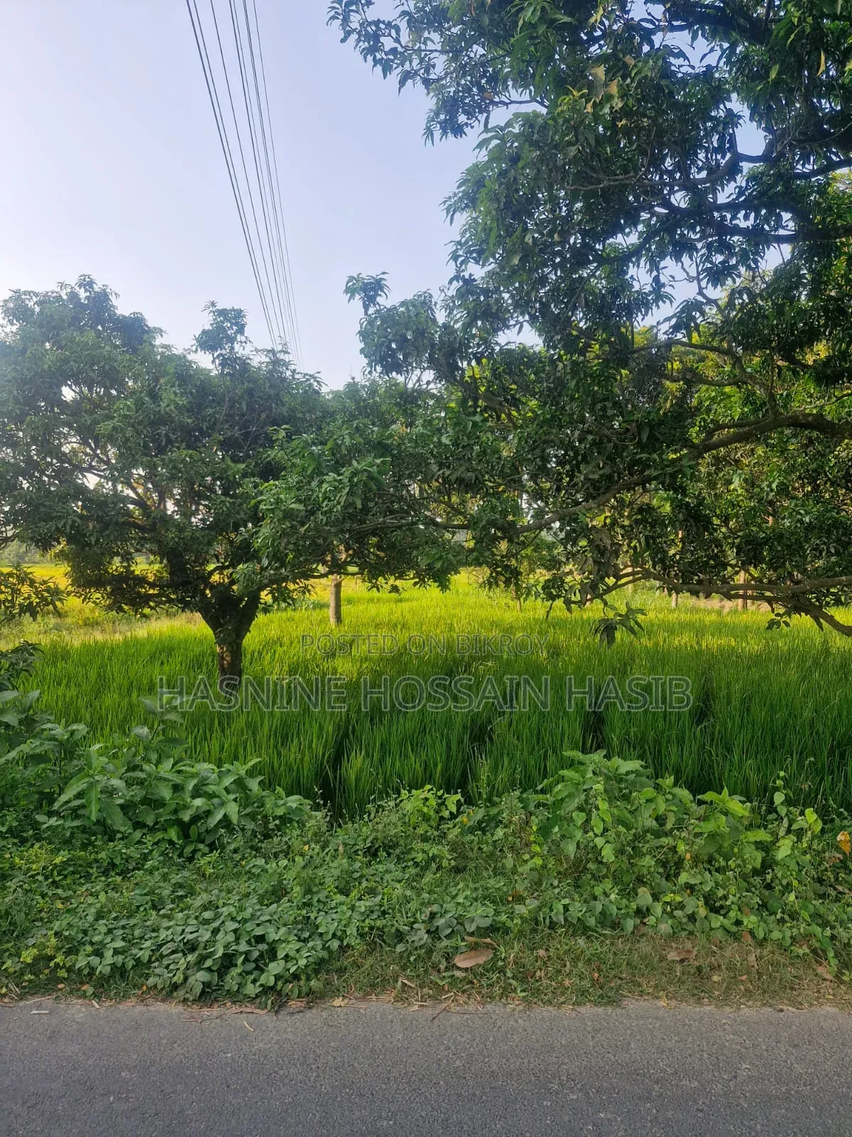 ৩০ ফিট রাস্তার পাশে সুলভ মূল্যে বাণিজ্যিক  ও আবাসিক জমি বিক্রয়