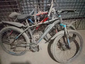 Seventy One Cycle