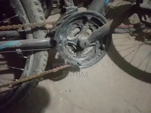 Seventy One Cycle