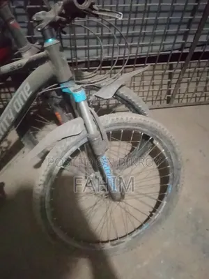 Seventy One Cycle