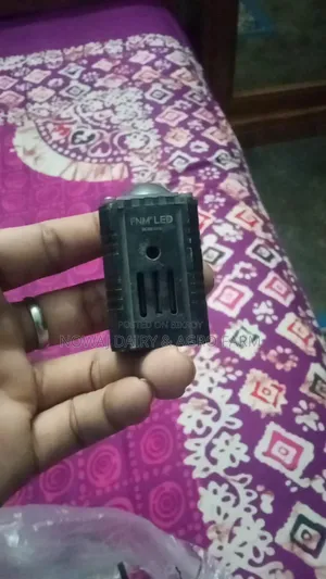 LED Fog Light