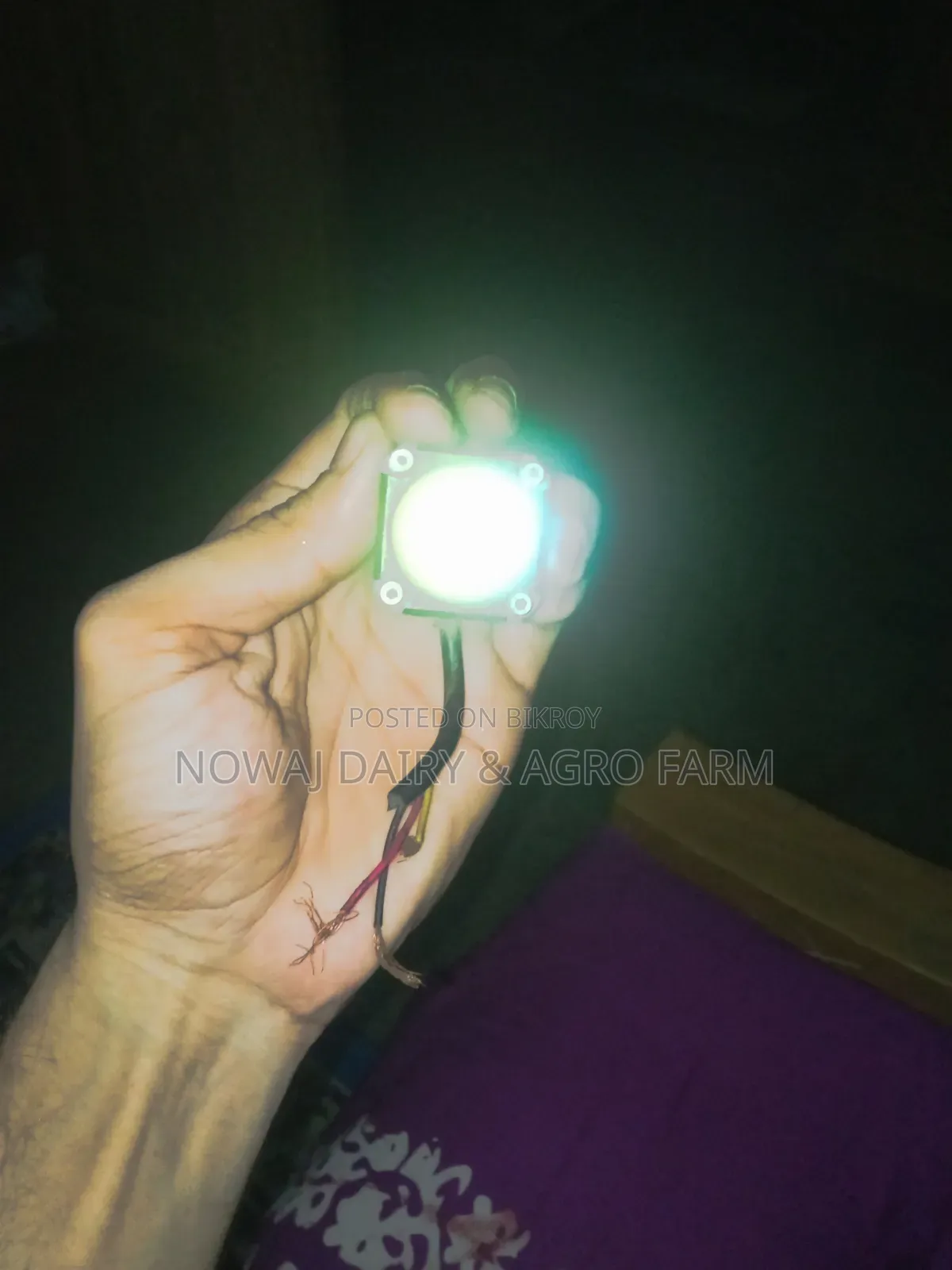 LED Fog Light