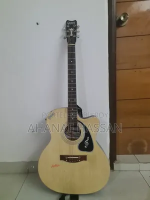 Givson Acoustic Guitar