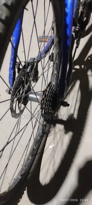 Cycle for Sale