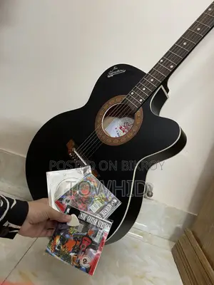 ইন্ডিয়ান গিটার্স