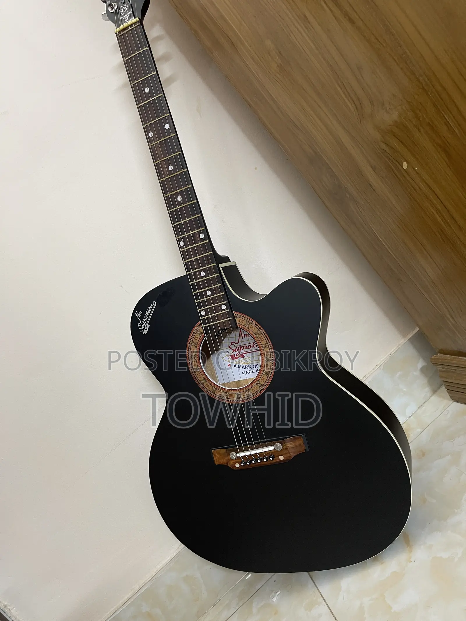 ইন্ডিয়ান গিটার্স