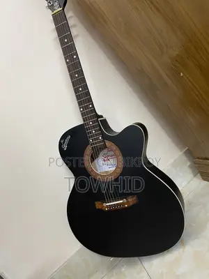 ইন্ডিয়ান গিটার্স