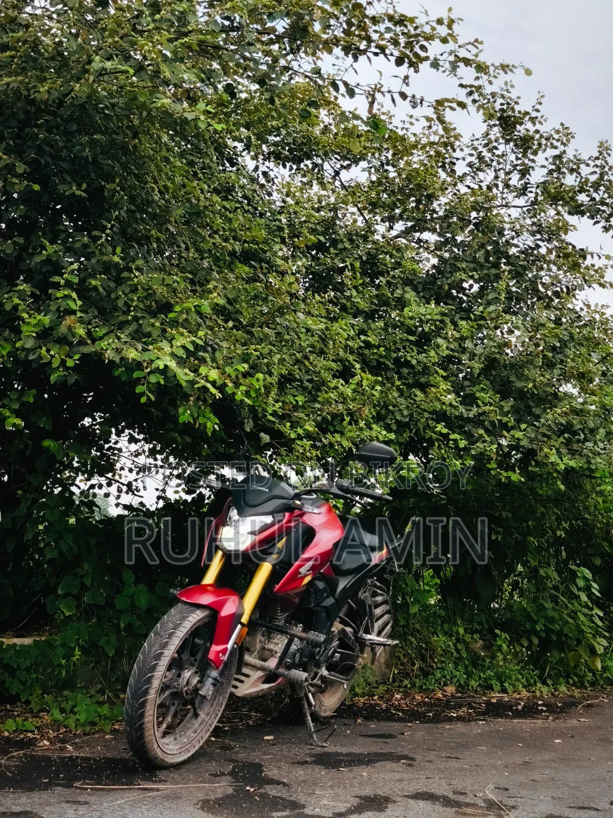 Honda Hornet 2.0 2024 Red