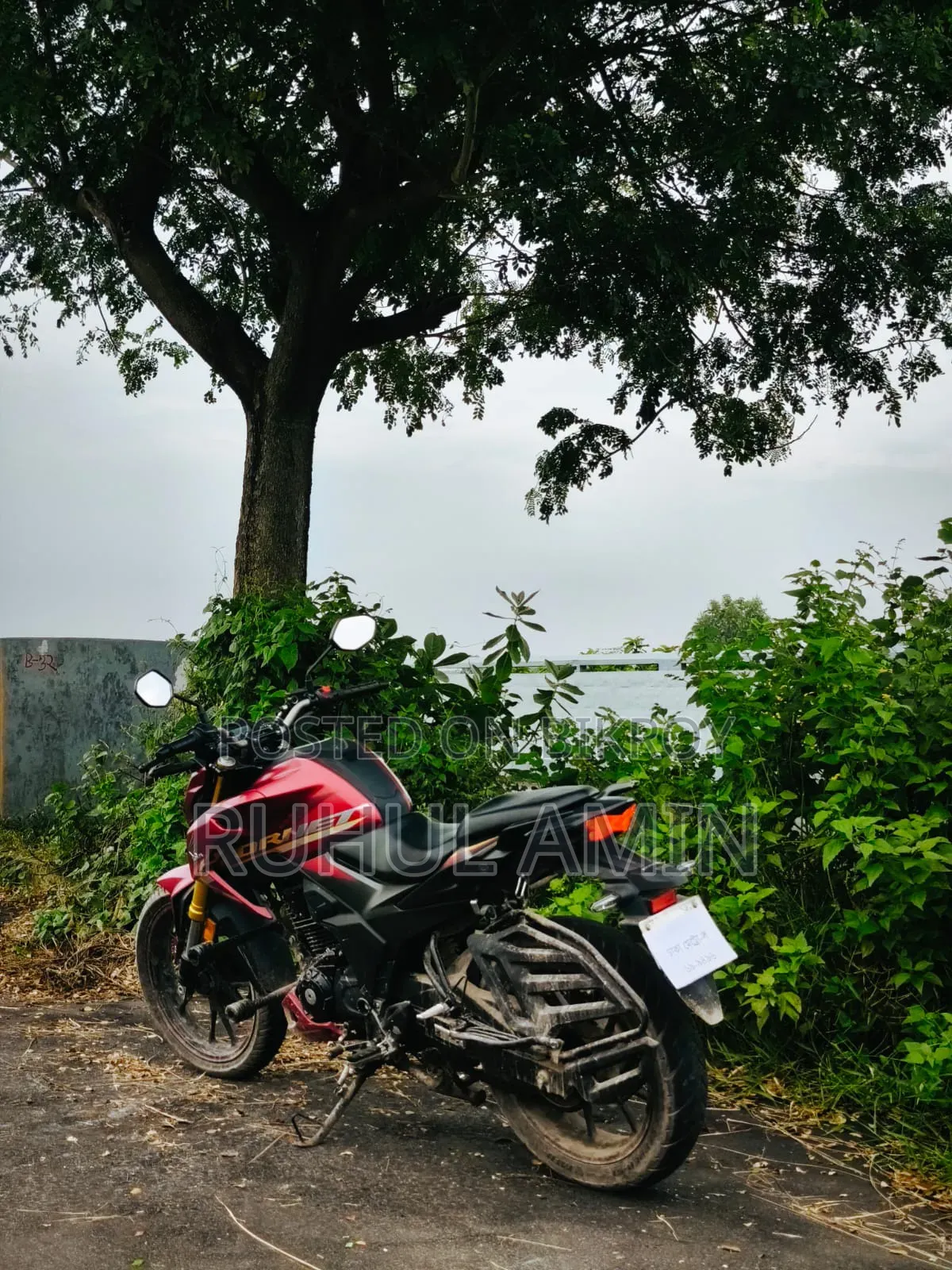 Honda Hornet 2.0 2024 Red