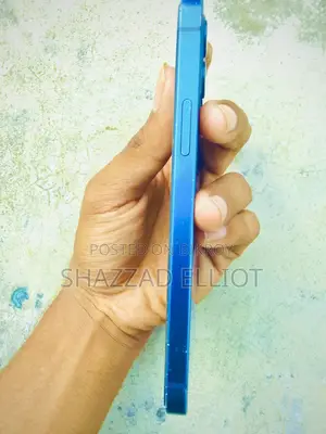 অ্যাপল আইফোন ১২ ১২৮ জিবি ব্লু