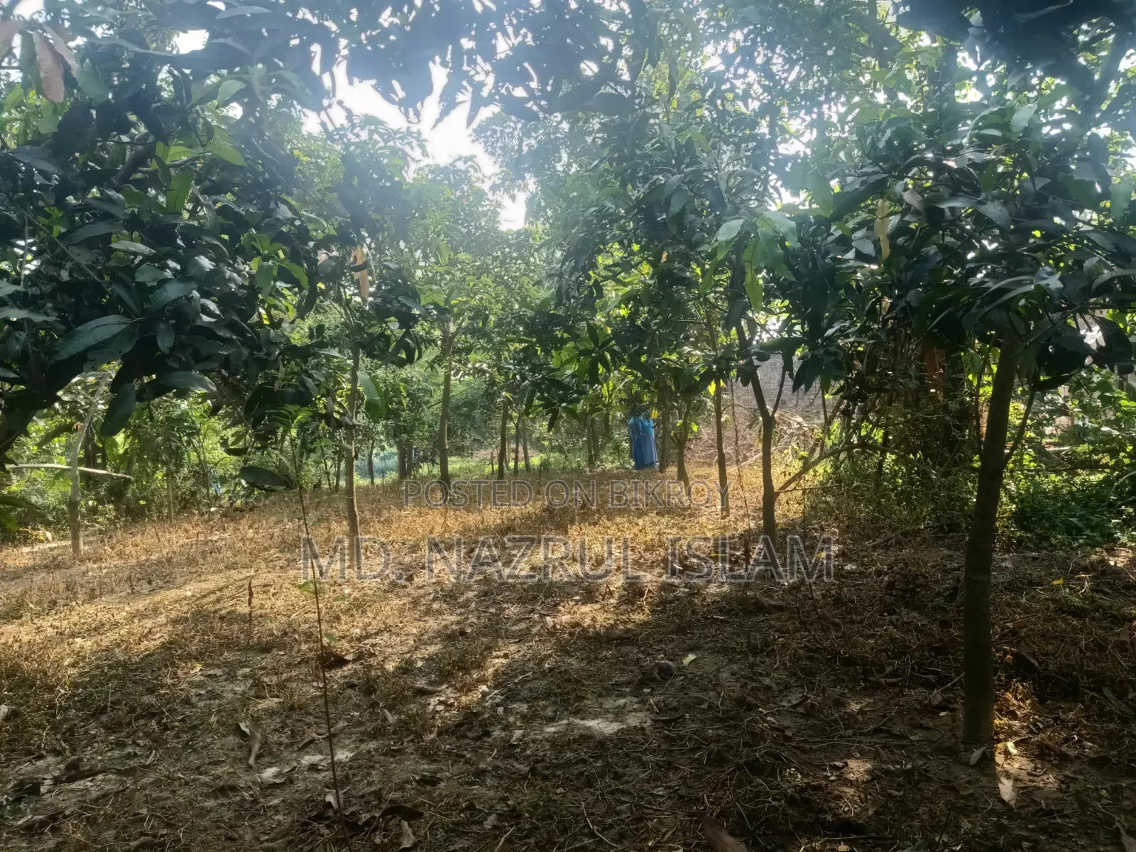 দারুসা, দেবের পাড়ায় জমি বিক্রি