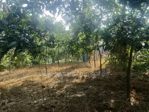 দারুসা, দেবের পাড়ায় জমি বিক্রি
