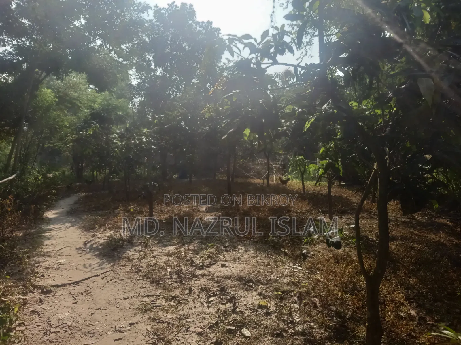 দারুসা, দেবের পাড়ায় জমি বিক্রি