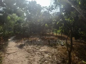 দারুসা, দেবের পাড়ায় জমি বিক্রি