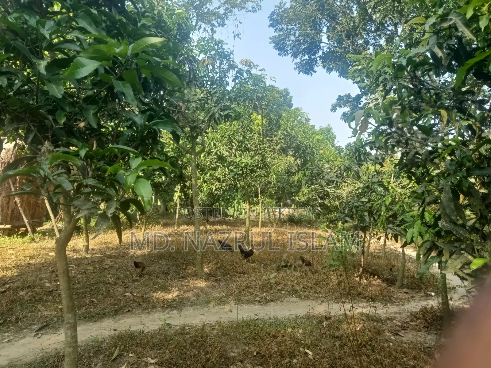 দারুসা, দেবের পাড়ায় জমি বিক্রি