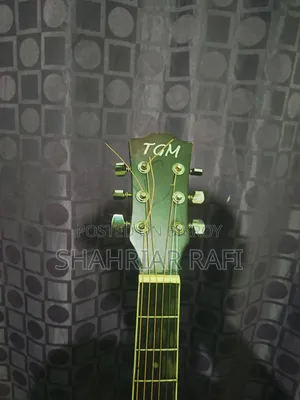 TGM Semi Electric Guitar