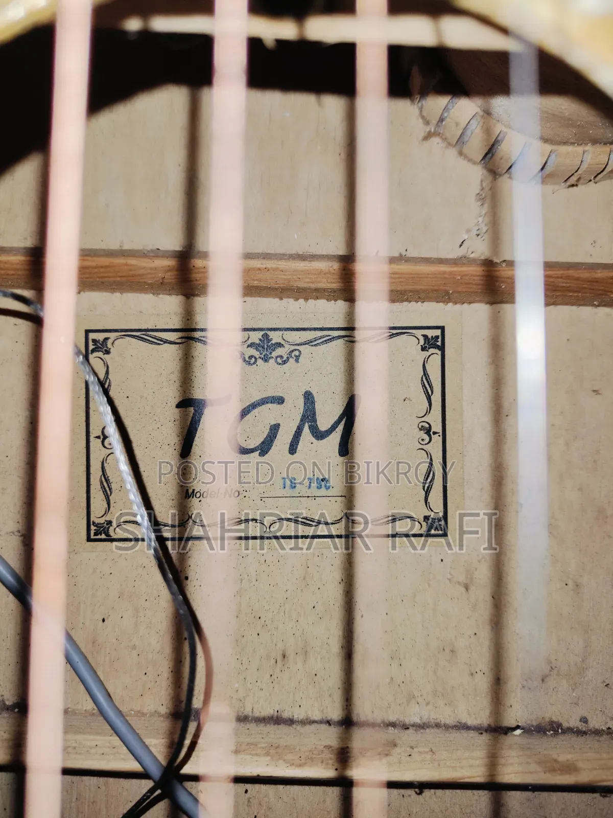 TGM Semi Electric Guitar