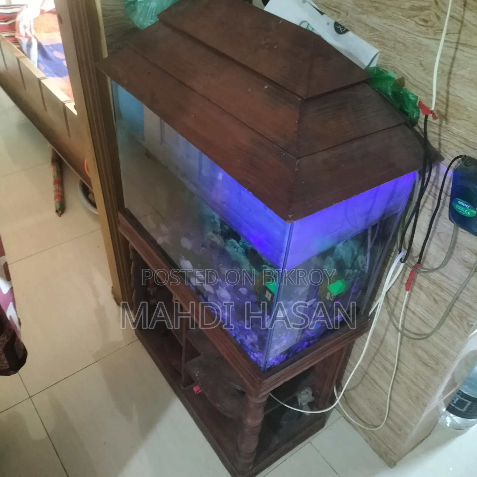  Aquarium Set for Sale — with fish, oxygen pump, food, and medicine!