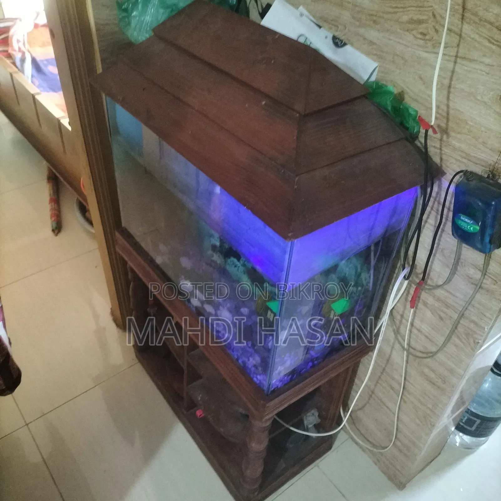  Aquarium Set for Sale — with fish, oxygen pump, food, and medicine!