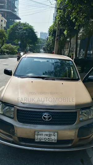 Toyota Succeed 2010 Beige