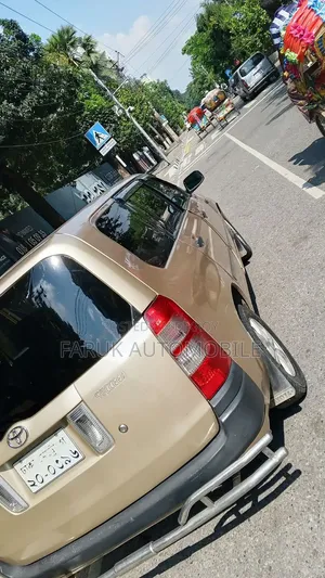 Toyota Succeed 2010 Beige