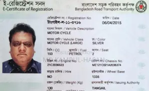 Yamaha FZ 2010 Silver