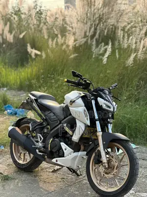 Yamaha MT-15 २०२১ সাদা