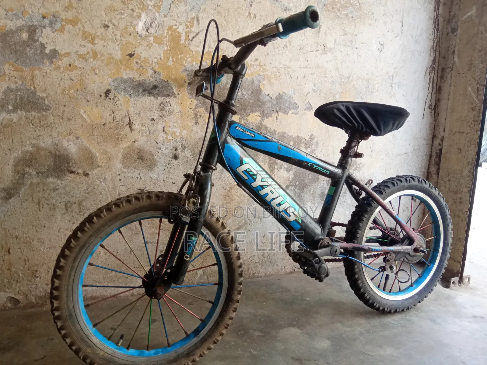 16 Size Cycle