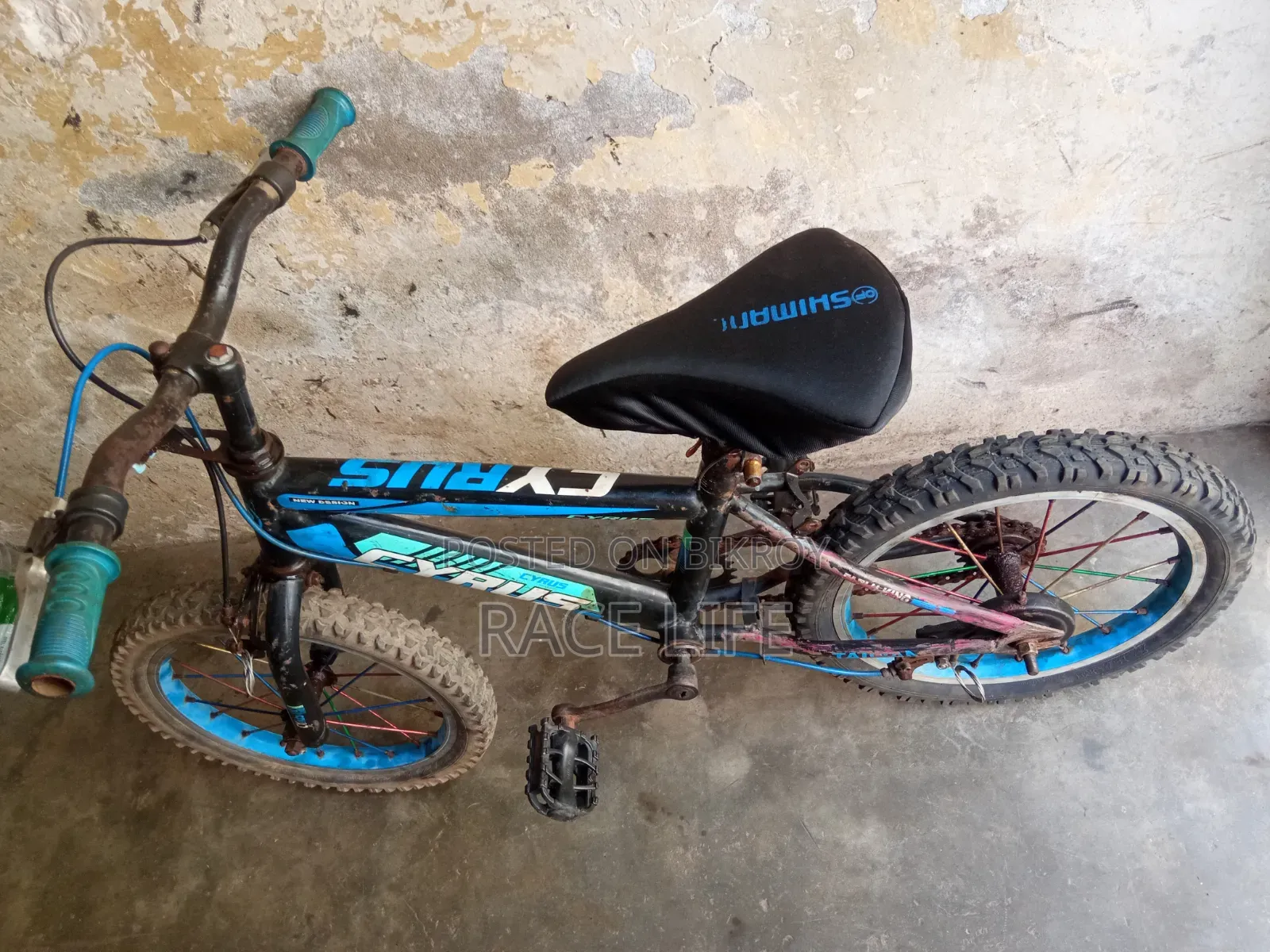 16 Size Cycle