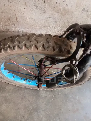 16 Size Cycle