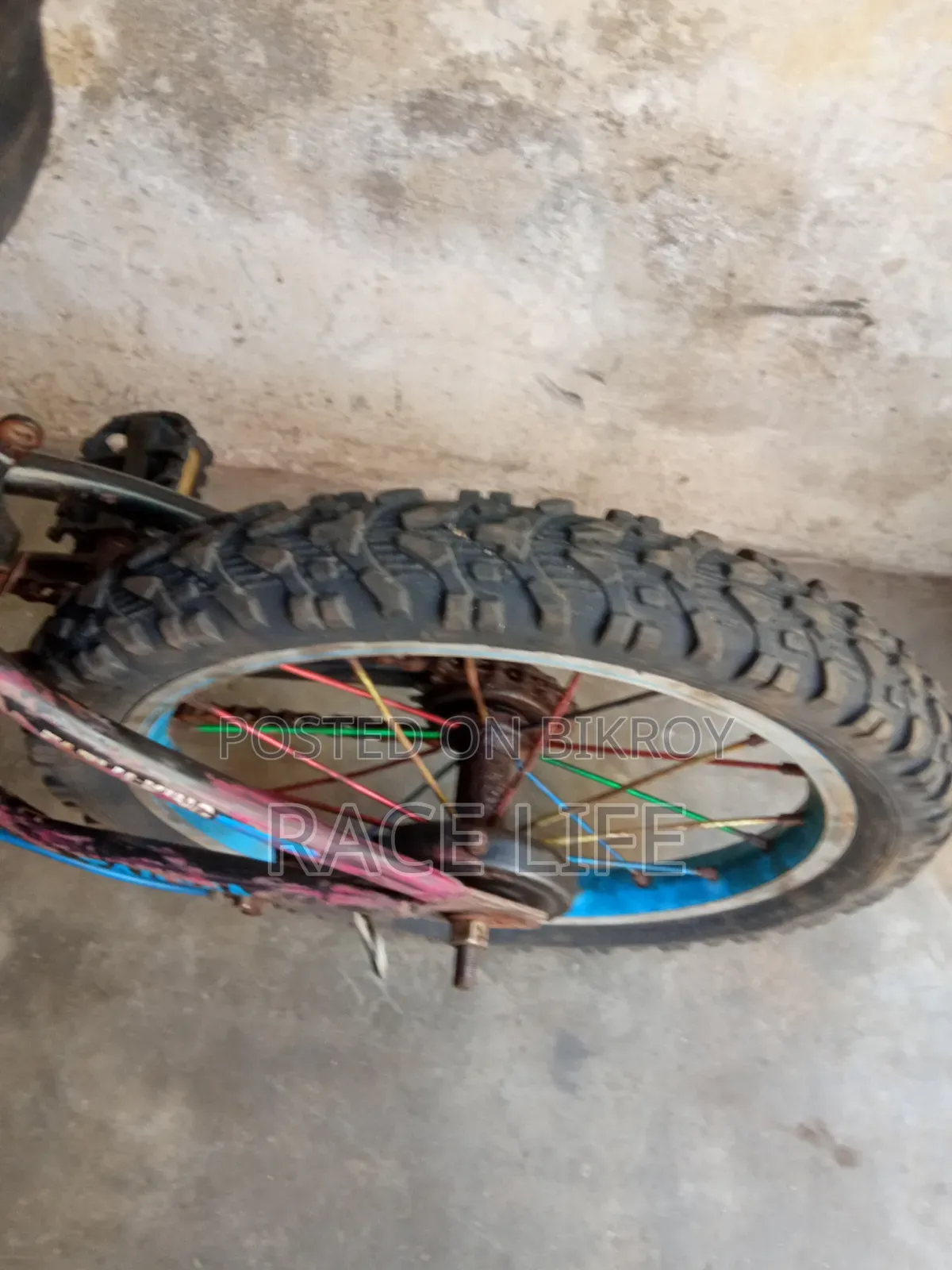 16 Size Cycle