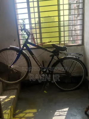 Road Cycle
