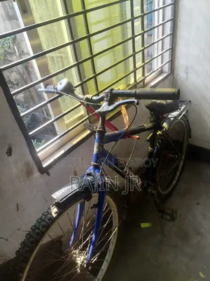 Road Cycle
