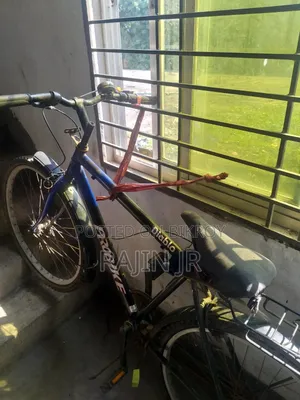 Road Cycle