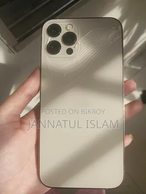 অ্যাপল আইফোন ১২ প্রো ১২৮ জিবি রোজ গোল্ড
