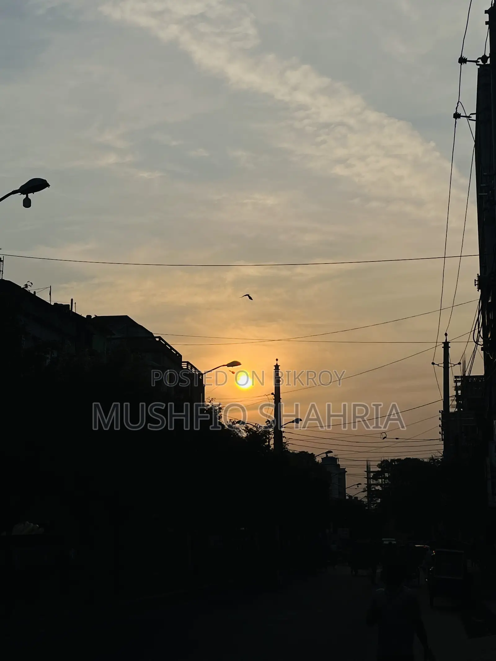 ডাটা এন্ট্রি/কম্পিউটার অপারেটর