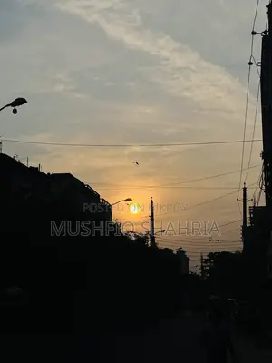 ডাটা এন্ট্রি/কম্পিউটার অপারেটর