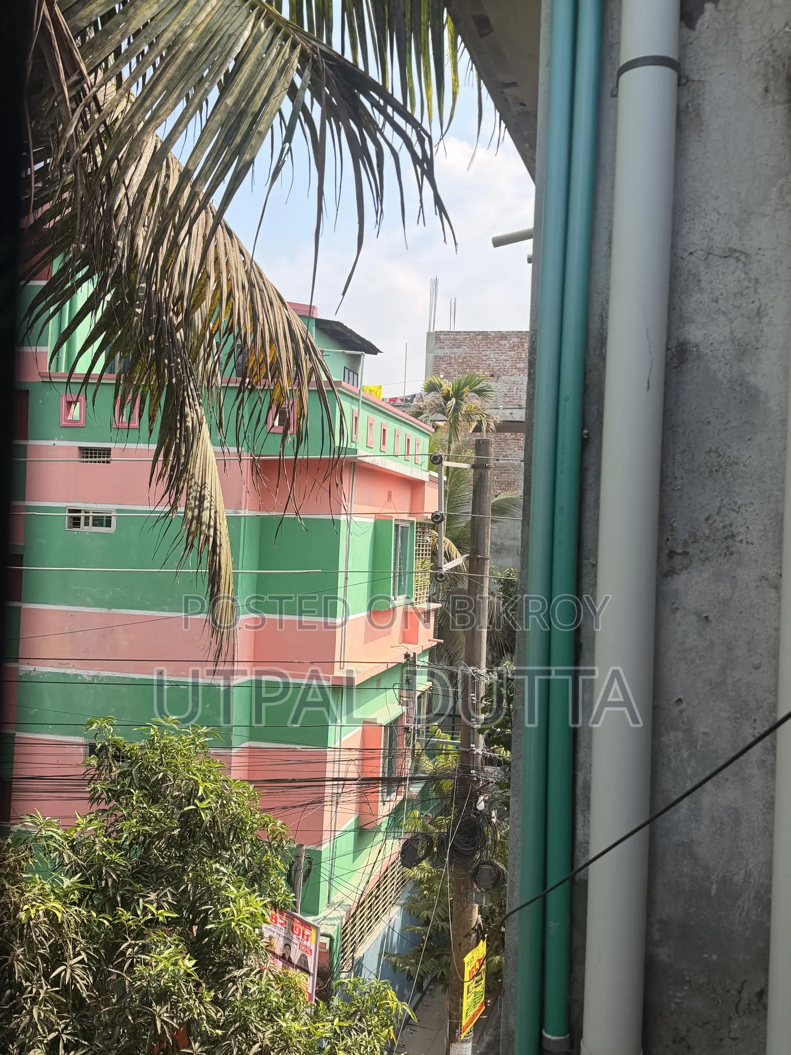 অ্যাপল আইফোন ১৭ প্রো ২৫৬ জিবি কমলা