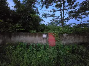 প্লট শেয়ার