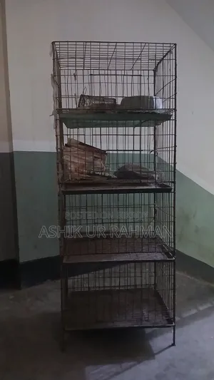 4-Tier Cage