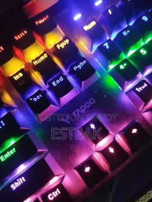 Rapoo V500 SE Mechanical Gaming Keyboard for Sell