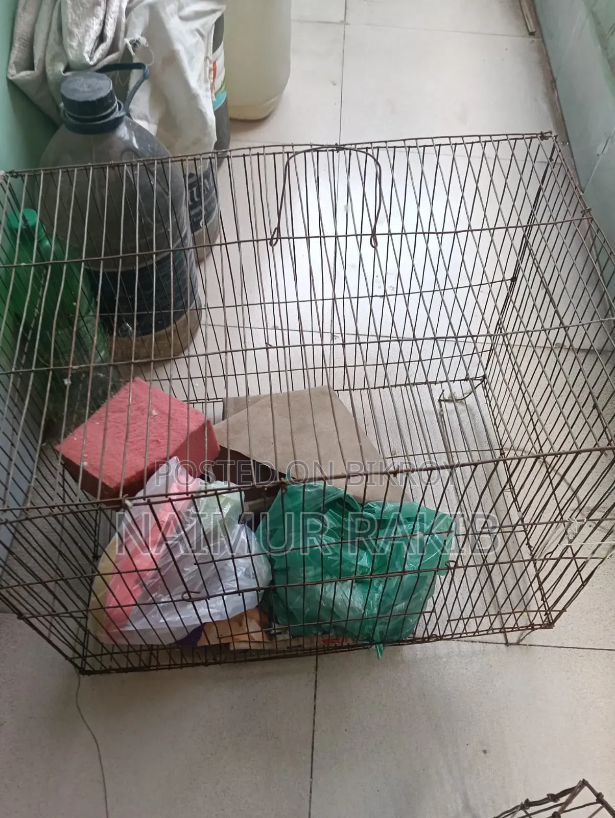 Bird Cage