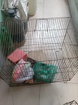 Bird Cage