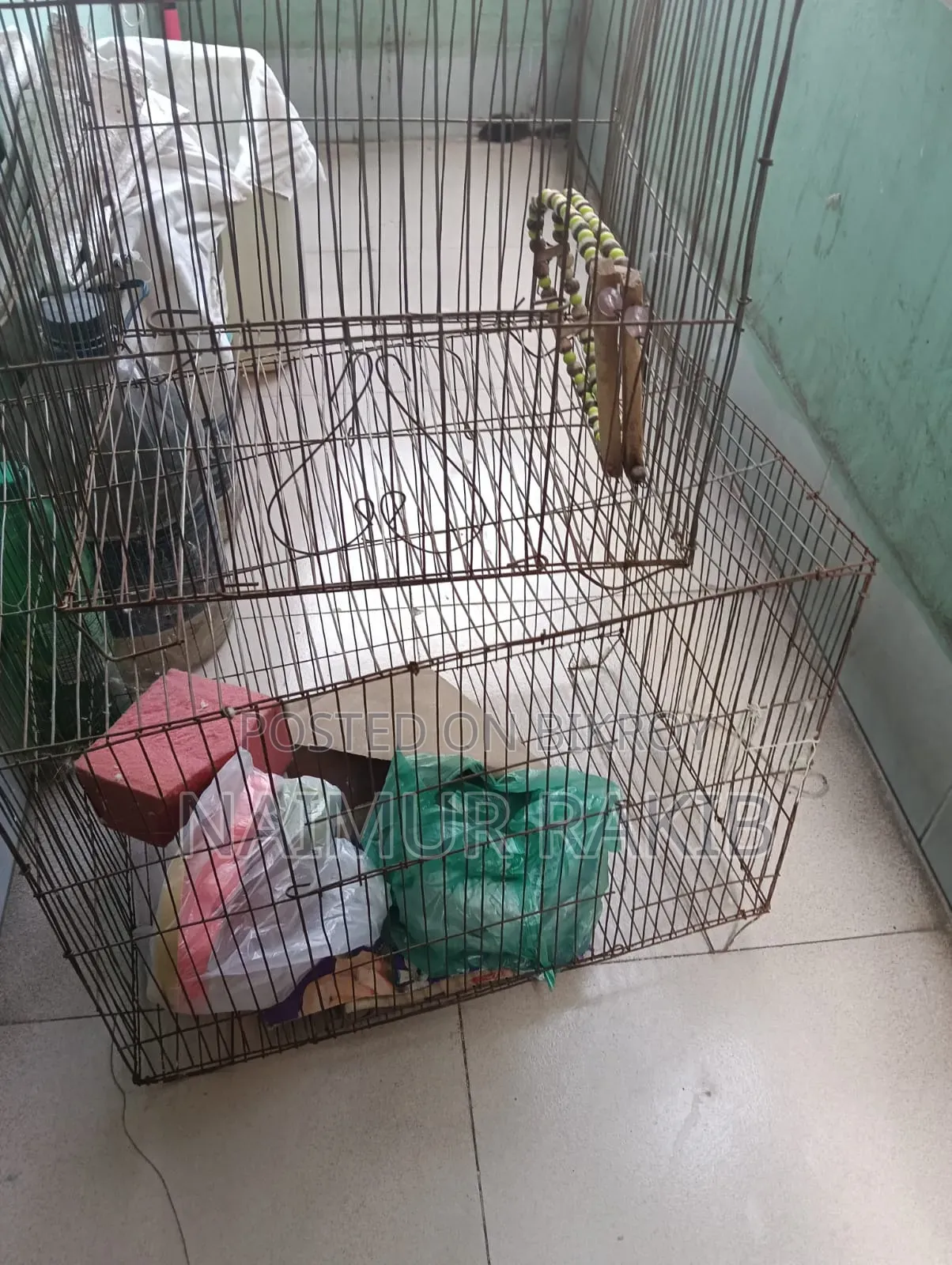 Bird Cage