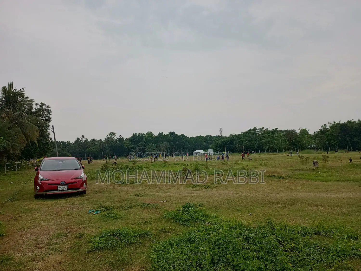প্লট শেয়ার