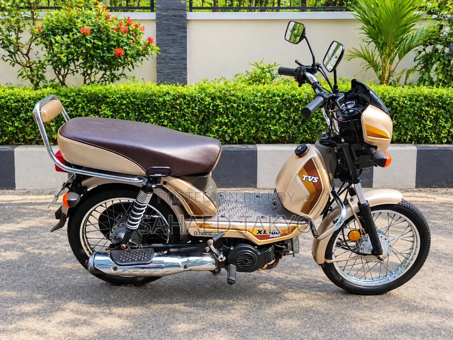TVS XL 100 কমফর্ট ২০২১ গোল্ড