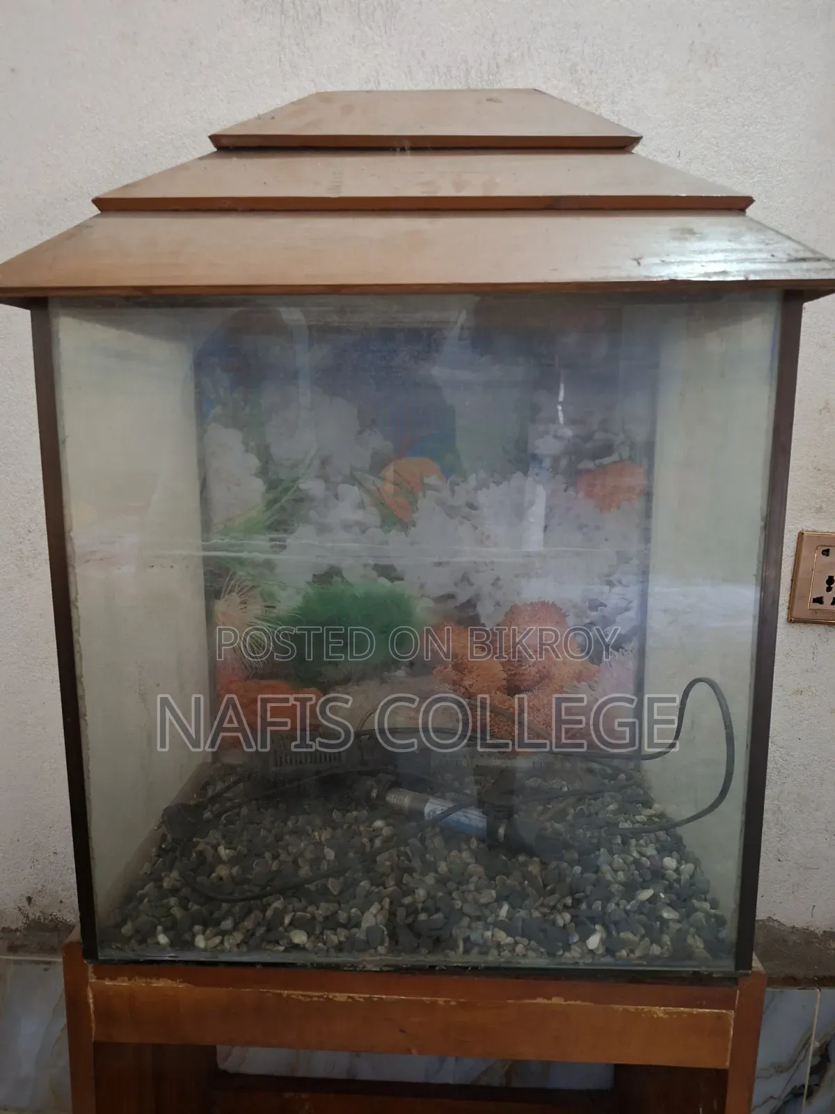 Fish Aquarium