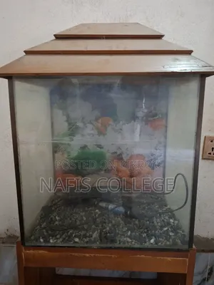 ফিশ অ্যাকোয়ারিয়াম