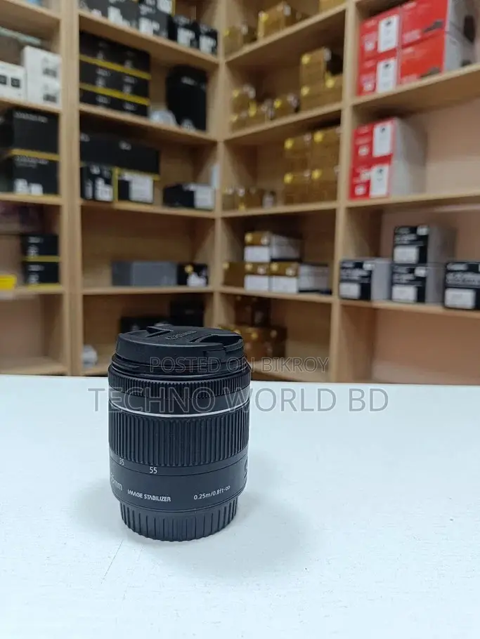 Canon EF-S 18-55mm IS STM Lens