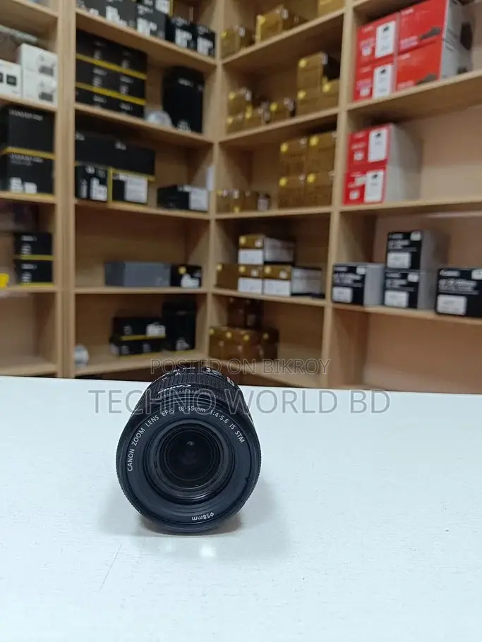 Canon EF-S 18-55mm IS STM Lens